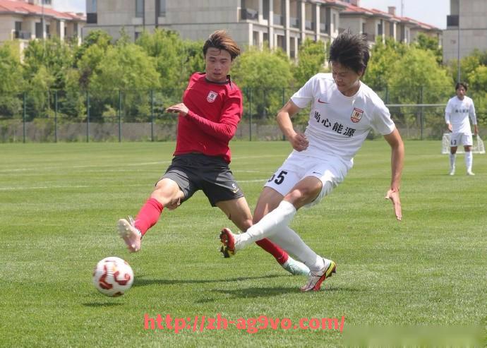 ag9游会-世俱杯各国球迷观赛礼仪的差异化表现与文化解析