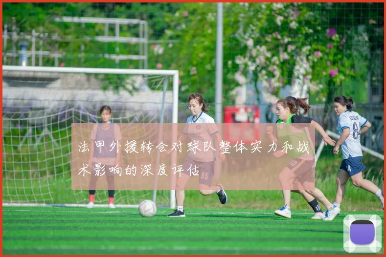 法甲外援转会对球队整体实力和战术影响的深度评估